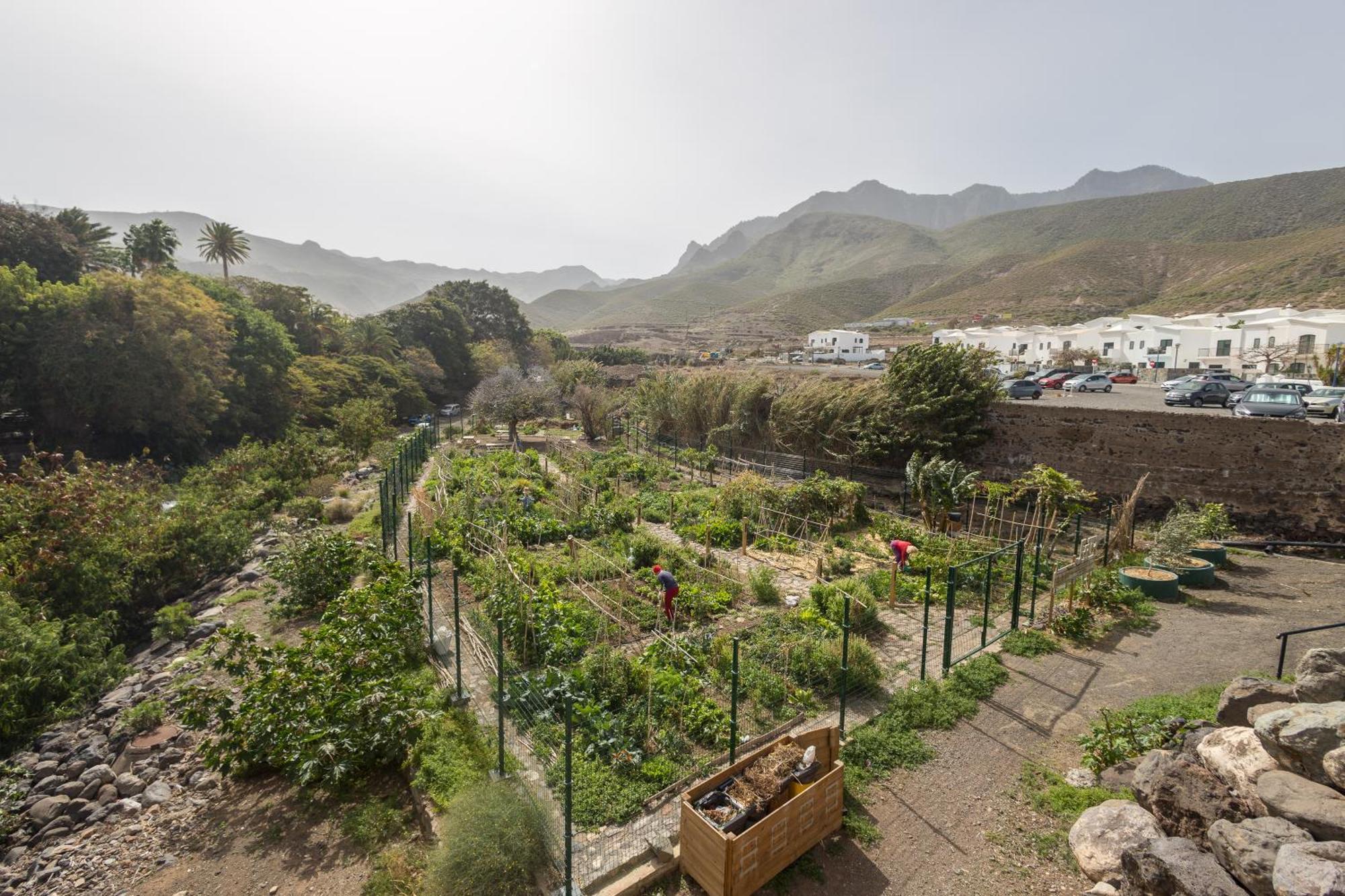 Casa Carmen Agaete Con Terraza Y Vistas Al Mar Lejlighed Eksteriør billede