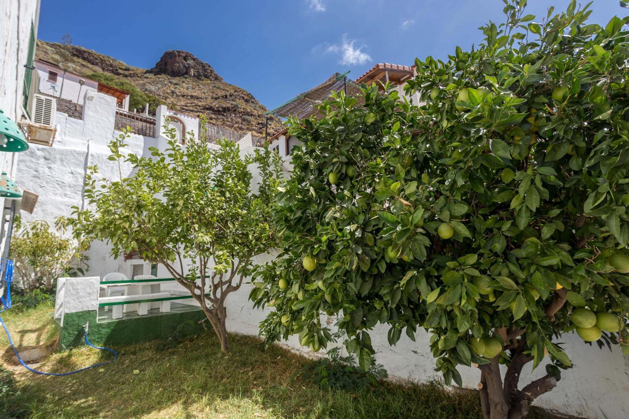 Casa Carmen Agaete Con Terraza Y Vistas Al Mar Lejlighed Eksteriør billede